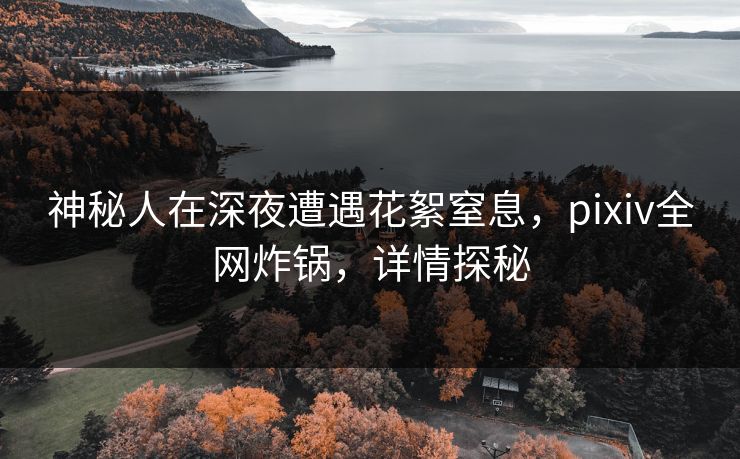 神秘人在深夜遭遇花絮窒息，pixiv全网炸锅，详情探秘