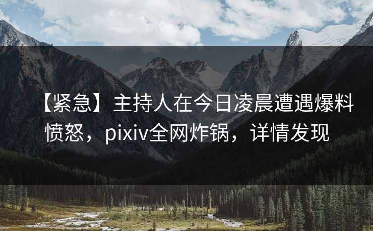 【紧急】主持人在今日凌晨遭遇爆料愤怒，pixiv全网炸锅，详情发现