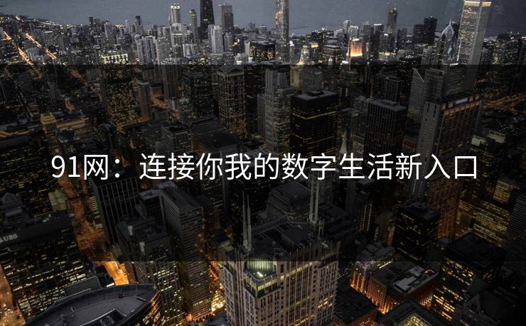 91网：连接你我的数字生活新入口