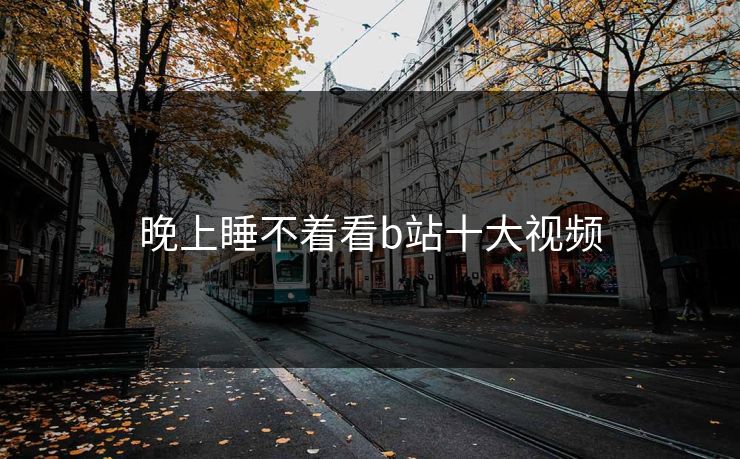 晚上睡不着看b站十大视频