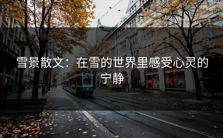 雪景散文：在雪的世界里感受心灵的宁静